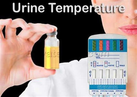 urine temperature for drug test